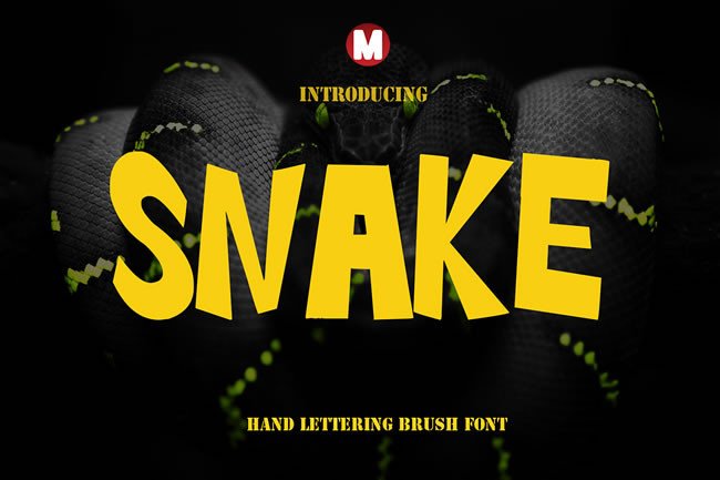 Snake: A Display Font for Handcrafted Digital Products